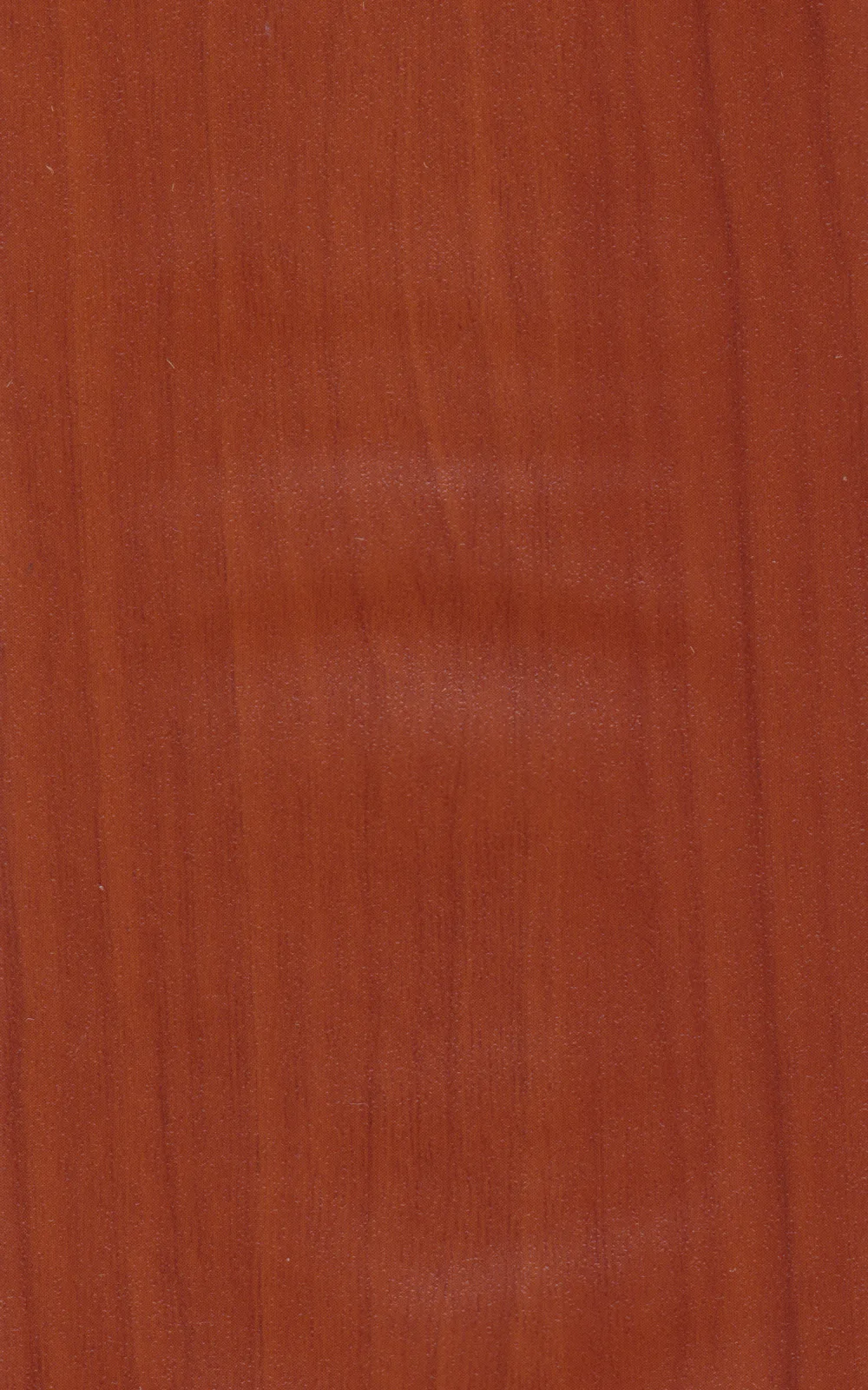 Dekor Cherry Amaretto