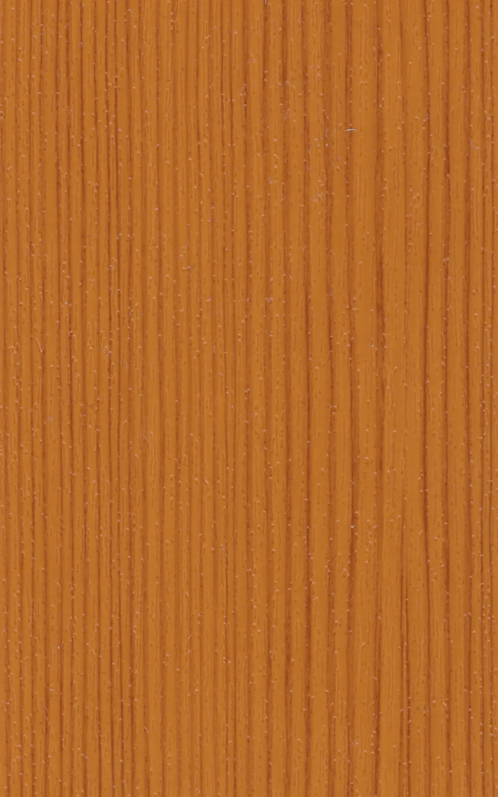 Folia Oregon 4 (1192001-167)