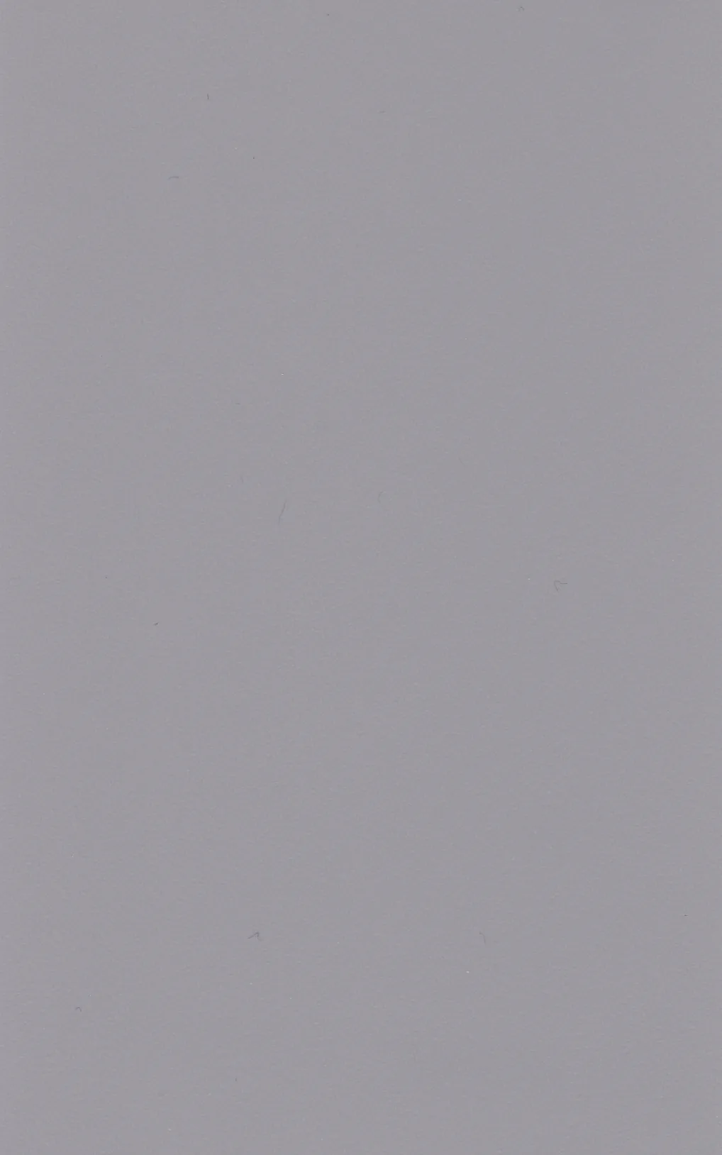 Dekor Signalgrau