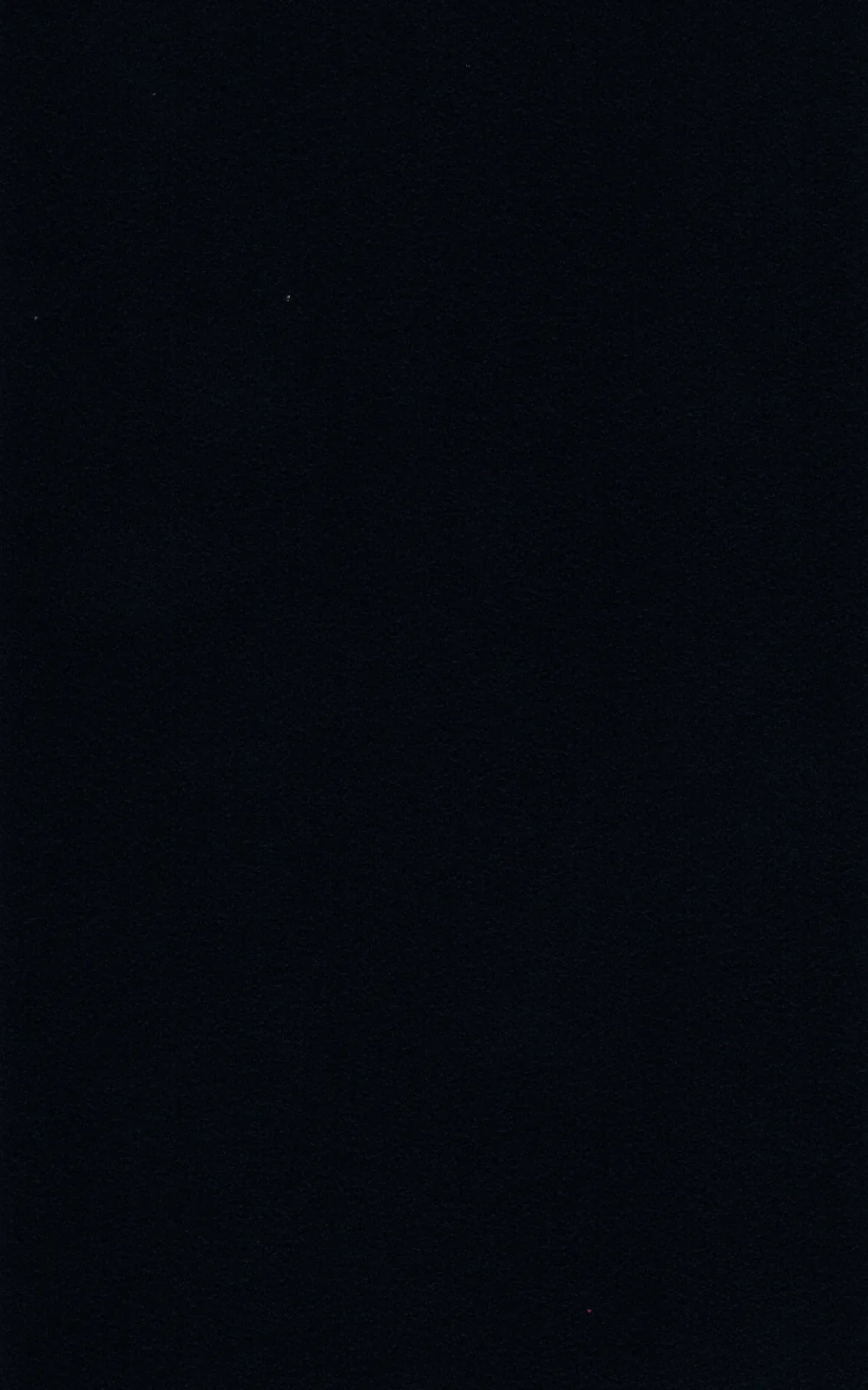 Dekor Schwarzgrau